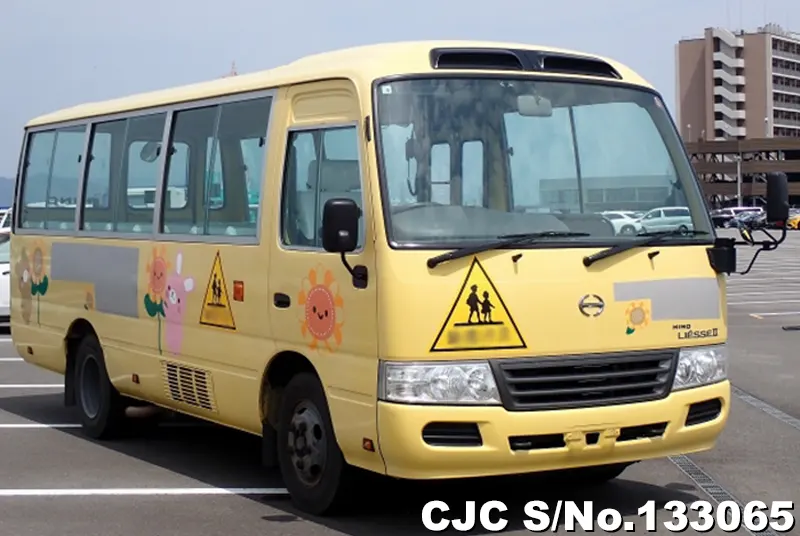 2010 Hino / Liesse Stock No. 133065