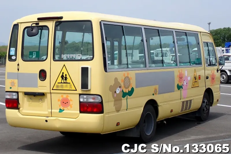 2010 Hino / Liesse Stock No. 133065