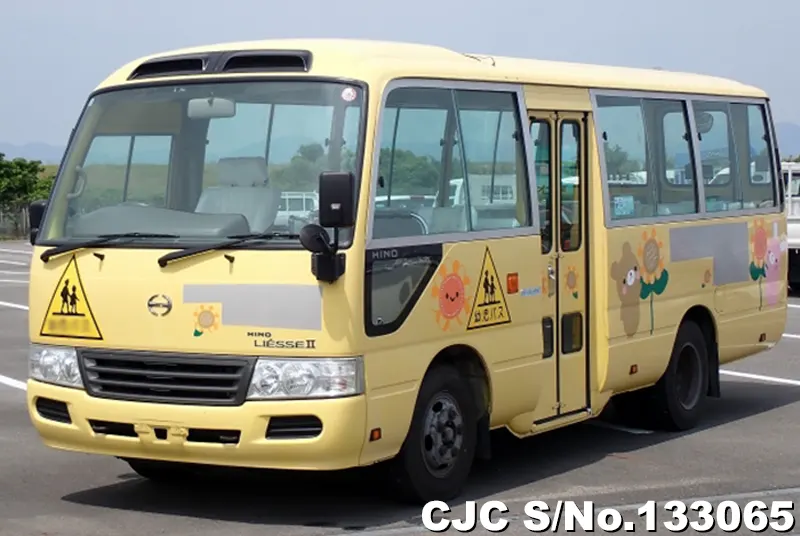 2010 Hino / Liesse Stock No. 133065