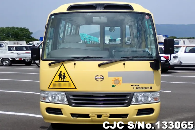 2010 Hino / Liesse Stock No. 133065