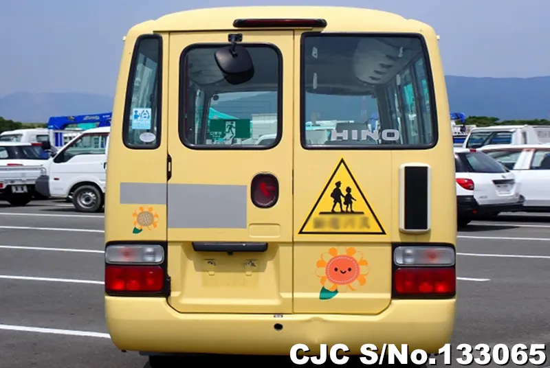 2010 Hino / Liesse Stock No. 133065