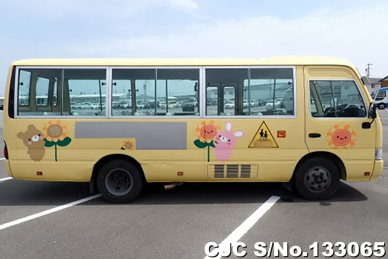 2010 Hino / Liesse Stock No. 133065