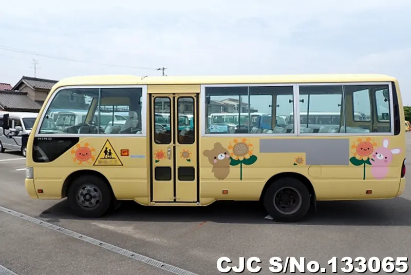 2010 Hino / Liesse Stock No. 133065