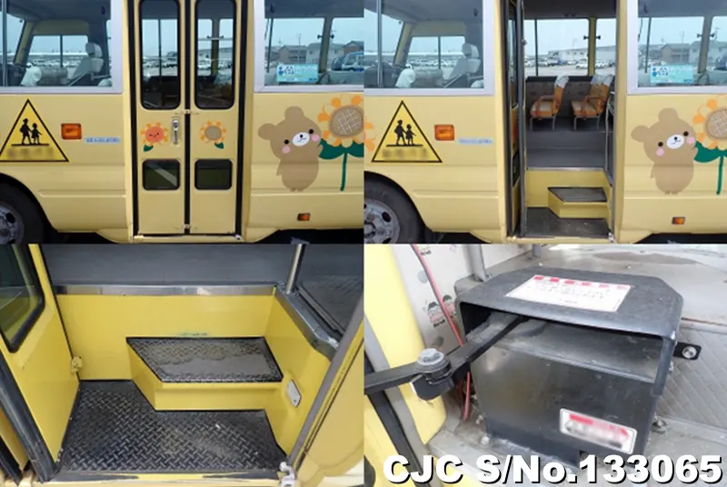 2010 Hino / Liesse Stock No. 133065