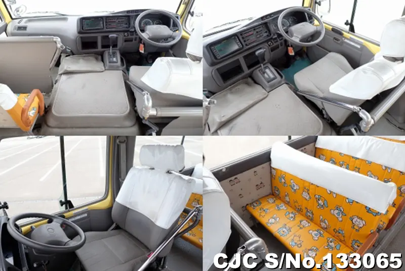 2010 Hino / Liesse Stock No. 133065