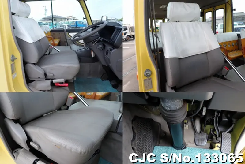 2010 Hino / Liesse Stock No. 133065