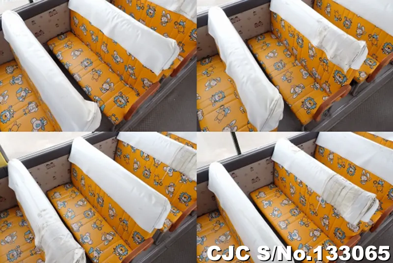 2010 Hino / Liesse Stock No. 133065