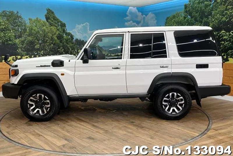 2025 Toyota / Land Cruiser Stock No. 133094