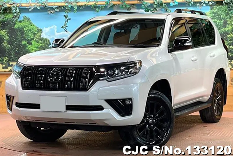 2022 Toyota / Land Cruiser Prado Stock No. 133120
