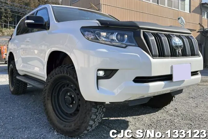 2020 Toyota / Land Cruiser Prado Stock No. 133123