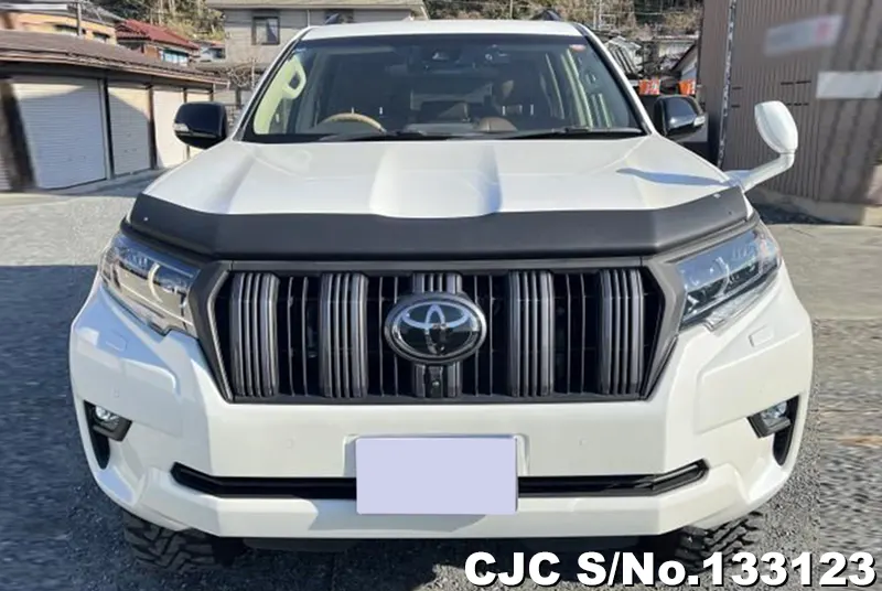 2020 Toyota / Land Cruiser Prado Stock No. 133123