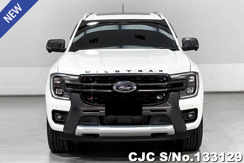 2023 Ford / Everest Stock No. 133129