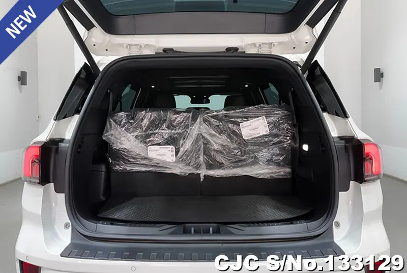 2023 Ford / Everest Stock No. 133129