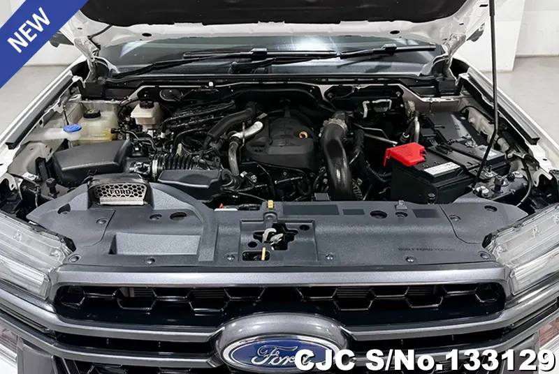 2023 Ford / Everest Stock No. 133129