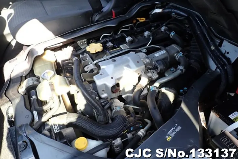 2020 Nissan / Caravan Stock No. 133137