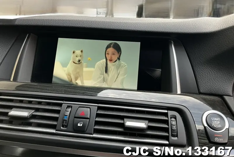 2017 BMW / 5 Series Stock No. 133167