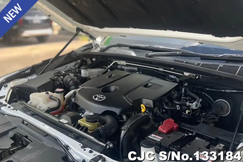 2019 Toyota / Hilux / Revo Rocco Stock No. 133184