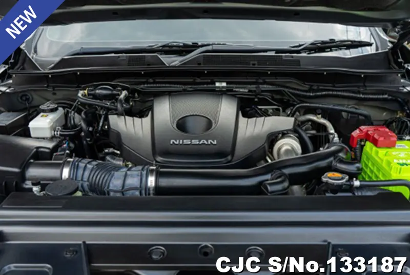 2020 Nissan / Navara Stock No. 133187