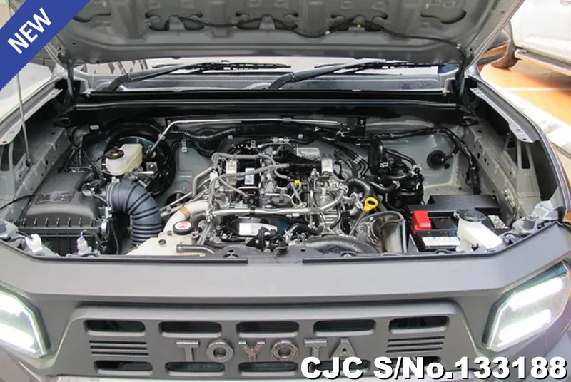 2025 Toyota / Hilux / Champ Stock No. 133188