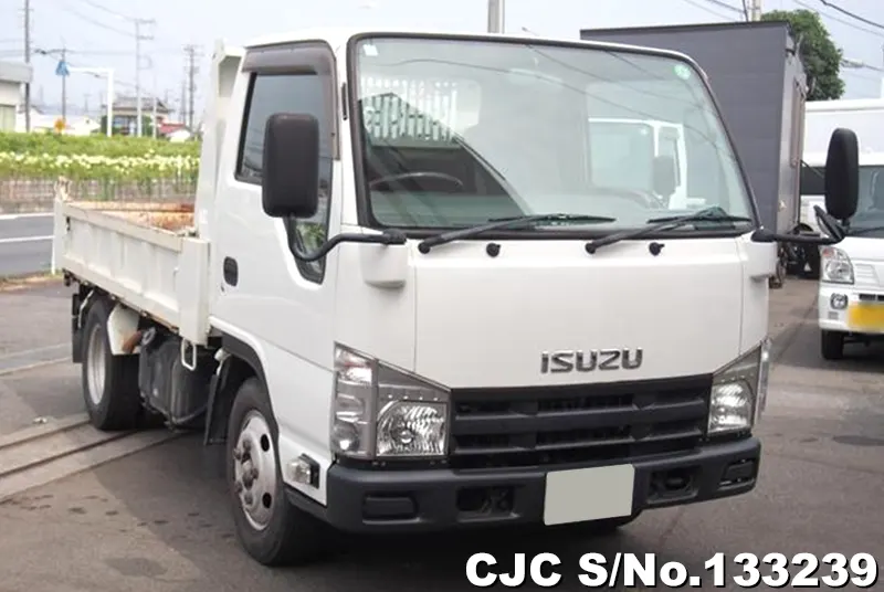 2009 Isuzu / Elf Stock No. 133239