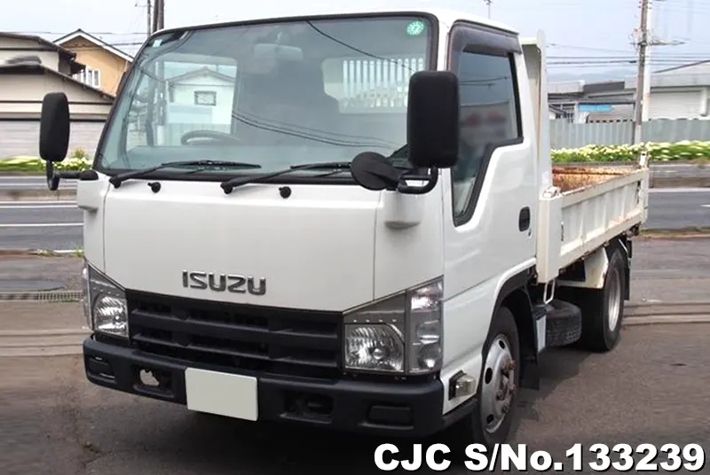 2009 Isuzu / Elf Stock No. 133239
