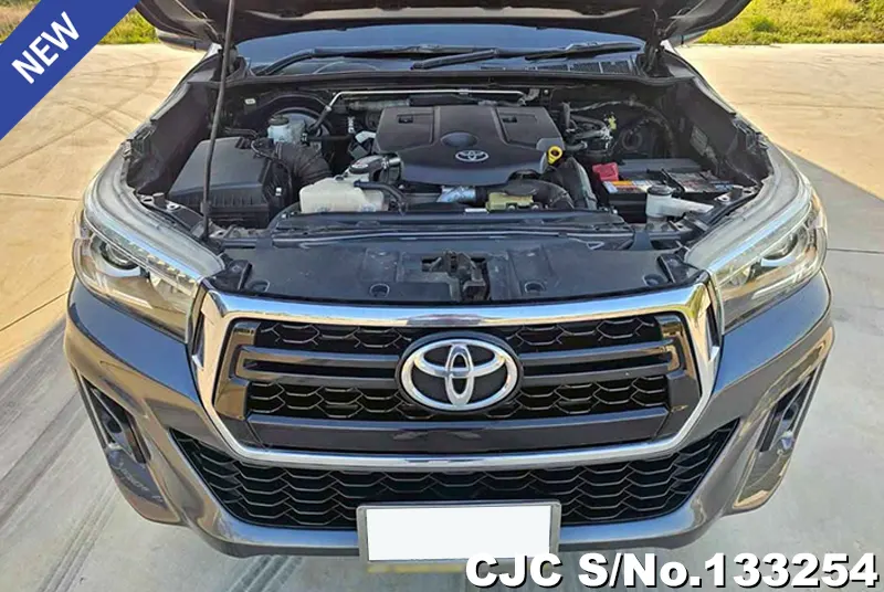 2018 Toyota / Hilux / Revo Stock No. 133254