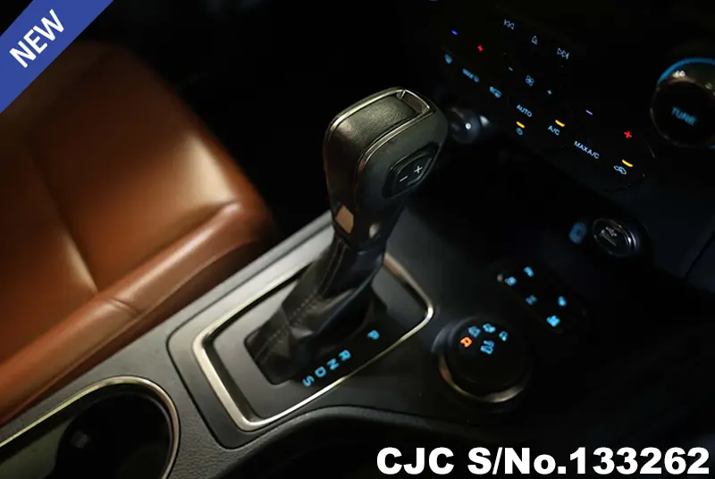 2020 Ford / Everest Stock No. 133262