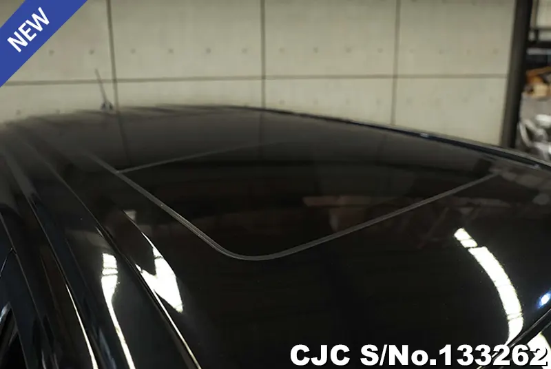 2020 Ford / Everest Stock No. 133262