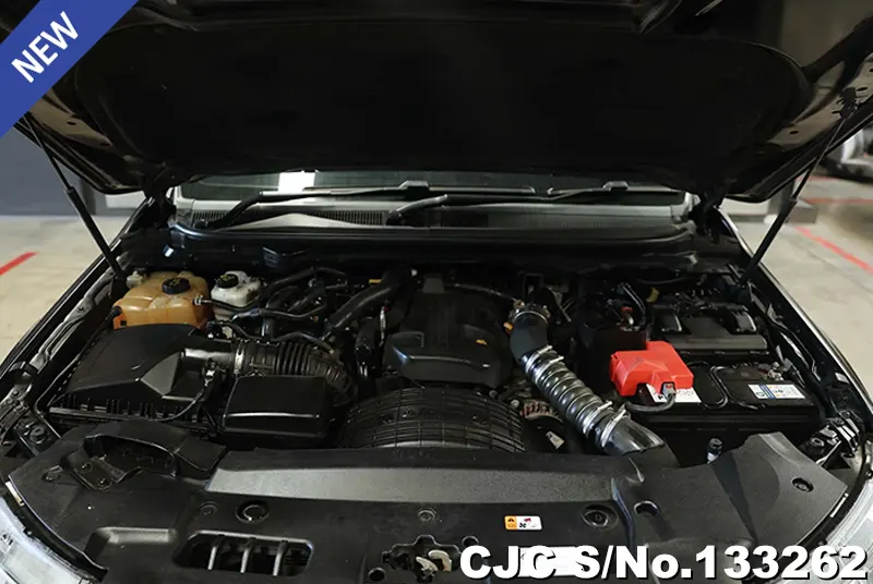 2020 Ford / Everest Stock No. 133262