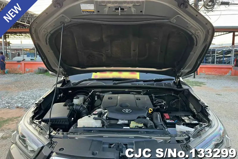 2021 Toyota / Hilux / Revo Rocco Stock No. 133299