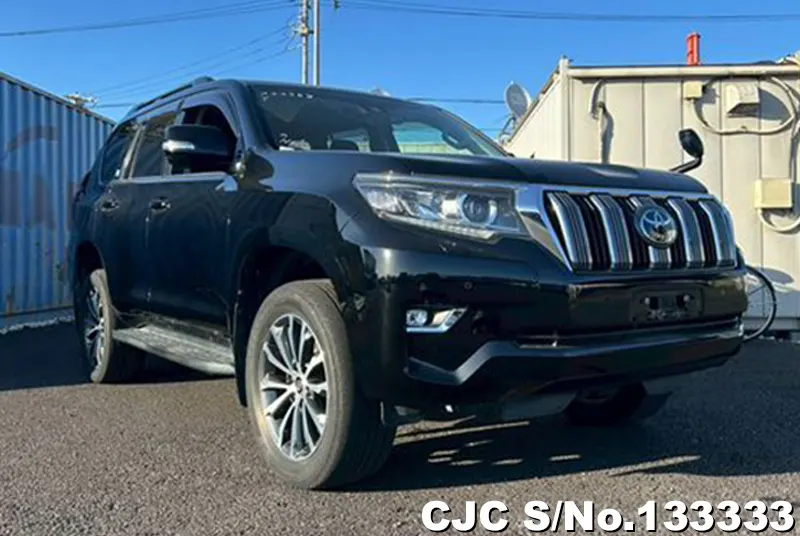 2019 Toyota / Land Cruiser Prado Stock No. 133333