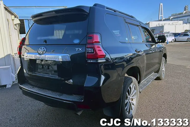 2019 Toyota / Land Cruiser Prado Stock No. 133333
