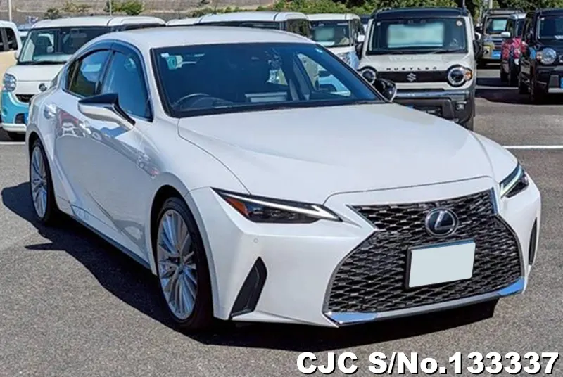 2020 Lexus / LS 300 Stock No. 133337