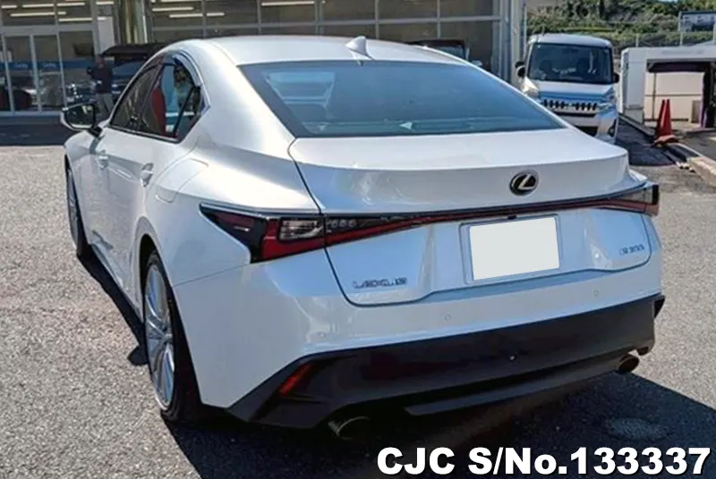 2020 Lexus / LS 300 Stock No. 133337