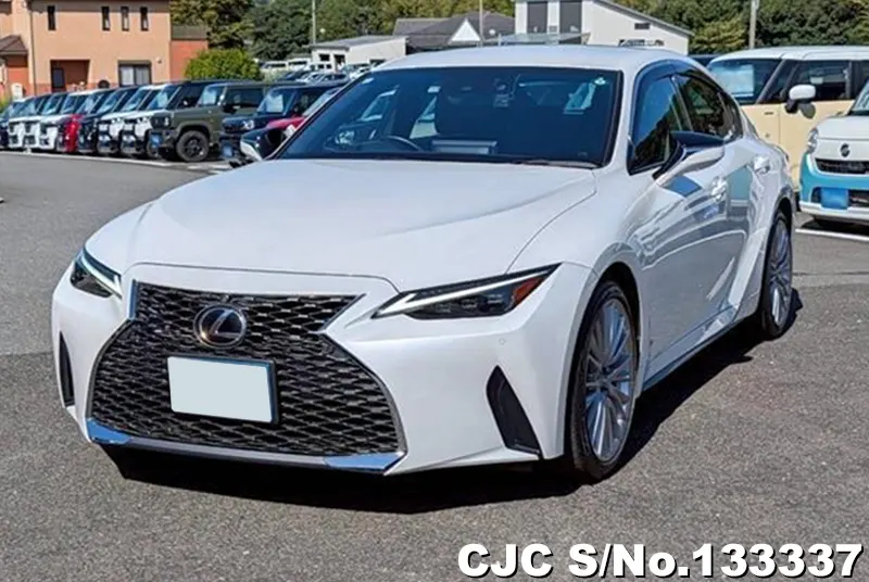 2020 Lexus / LS 300 Stock No. 133337