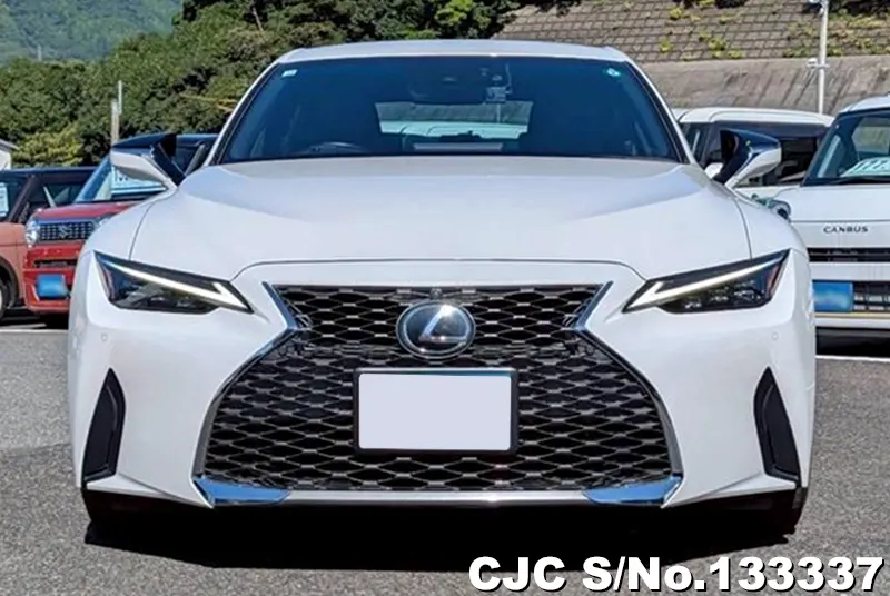 2020 Lexus / LS 300 Stock No. 133337