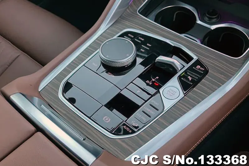 2025 BMW / X6 Stock No. 133368