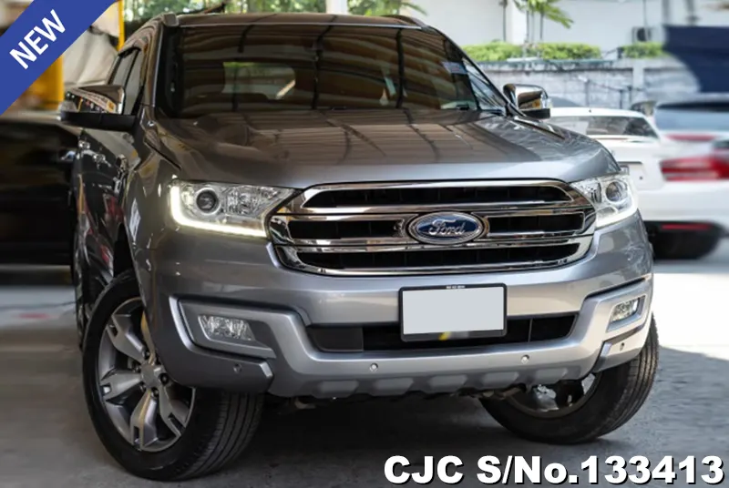 2018 Ford / Everest Stock No. 133413