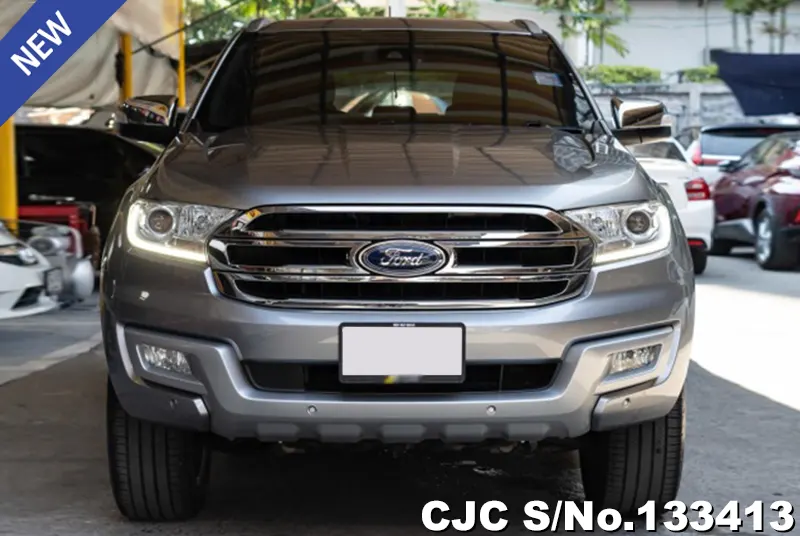 2018 Ford / Everest Stock No. 133413
