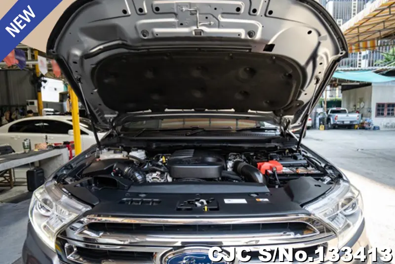 2018 Ford / Everest Stock No. 133413