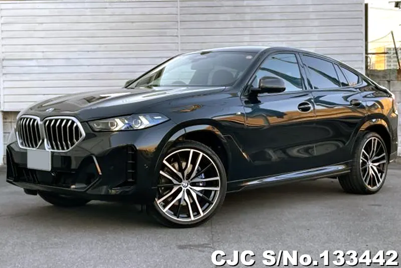 2025 BMW / X6 Stock No. 133442