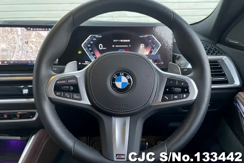 2025 BMW / X6 Stock No. 133442
