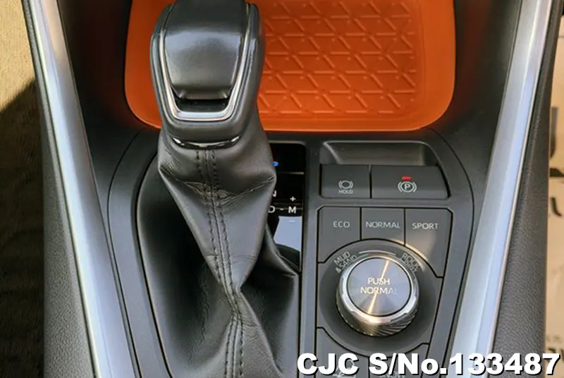 2022 Toyota / Rav4 Stock No. 133487