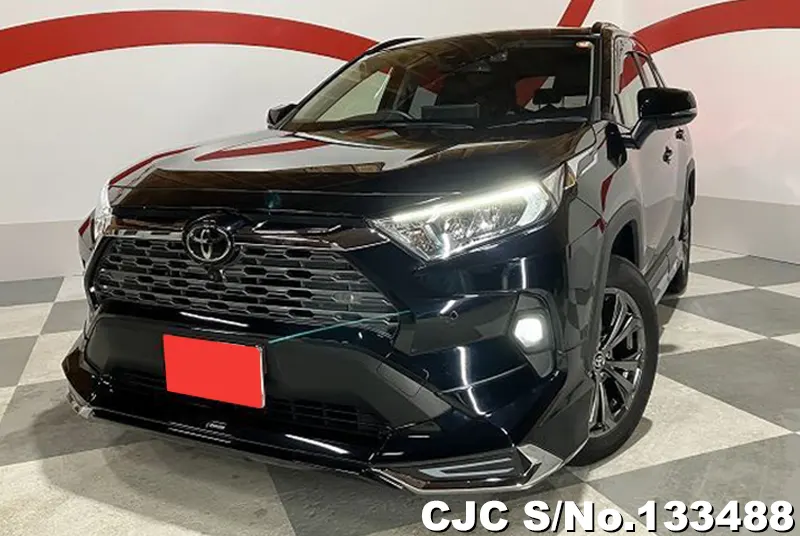 2022 Toyota / Rav4 Stock No. 133488