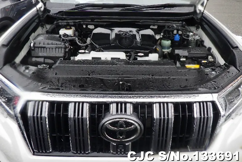 2023 Toyota / Land Cruiser Prado Stock No. 133691