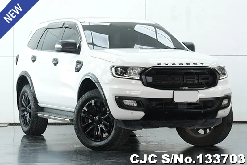 2019 Ford / Everest Stock No. 133703