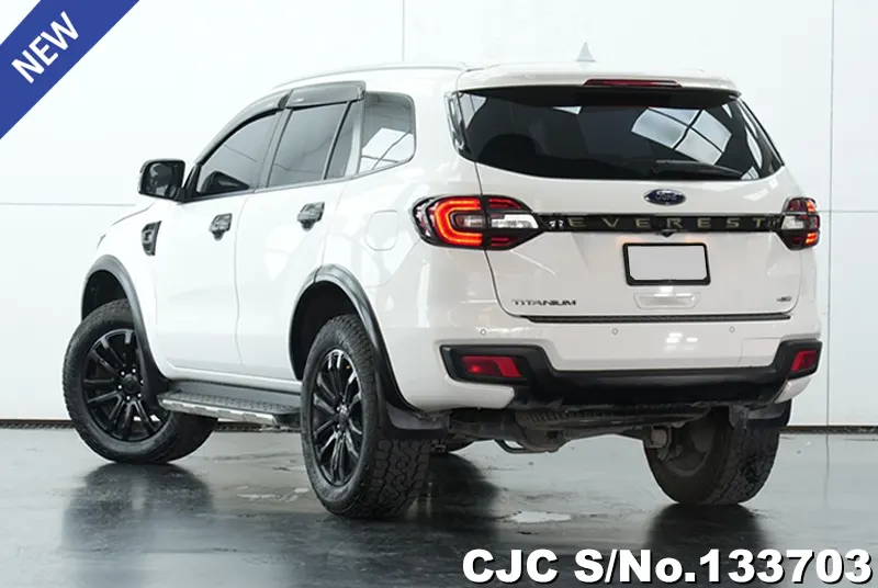 2019 Ford / Everest Stock No. 133703