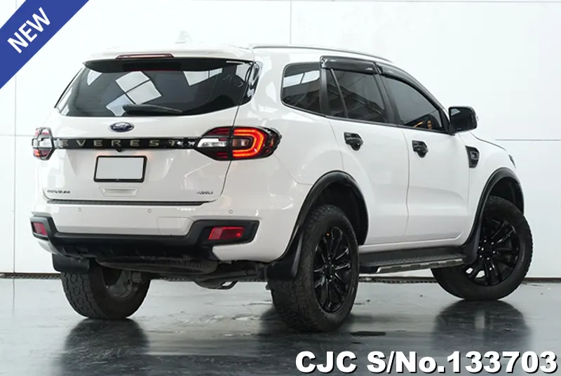 2019 Ford / Everest Stock No. 133703