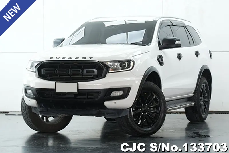 2019 Ford / Everest Stock No. 133703
