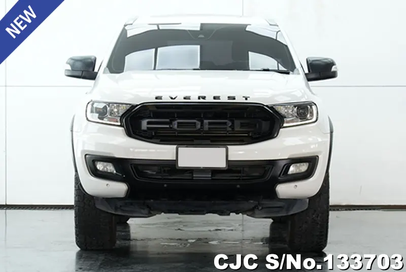 2019 Ford / Everest Stock No. 133703